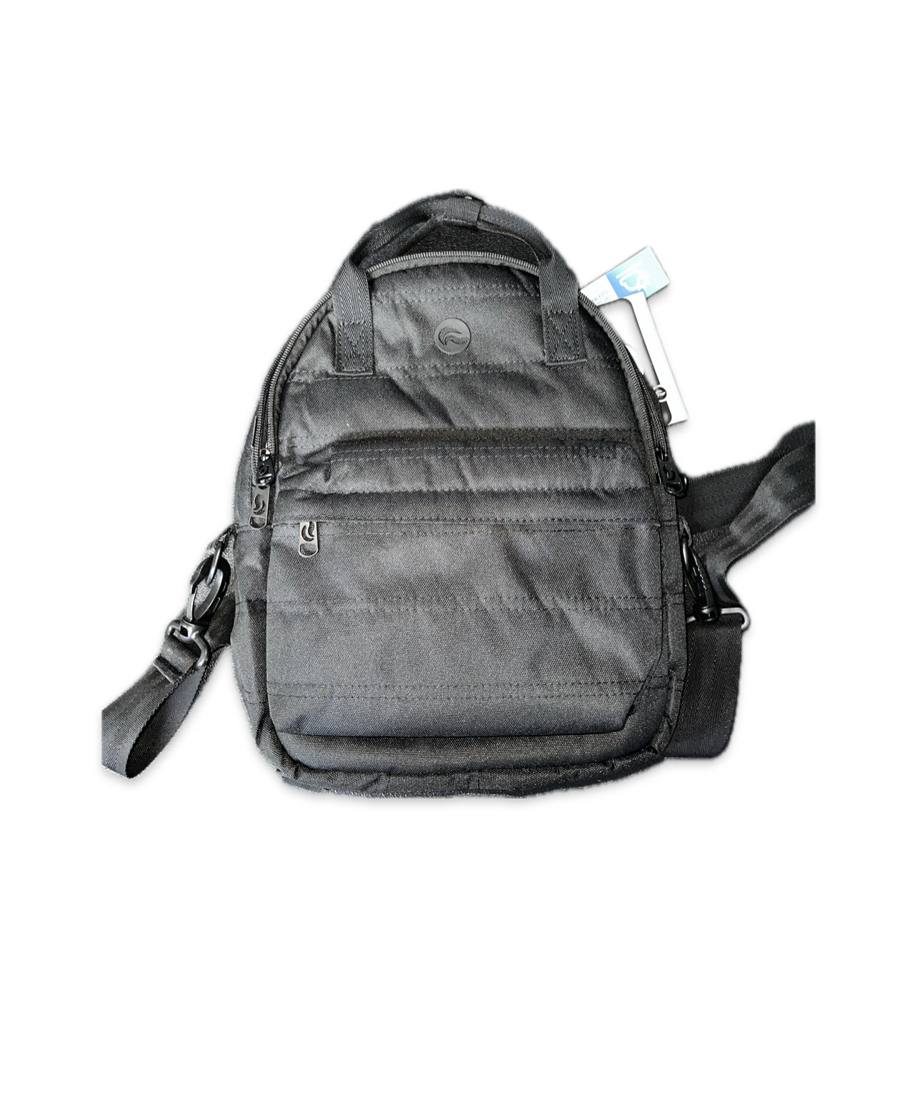Skunk Raven Purple Backpack