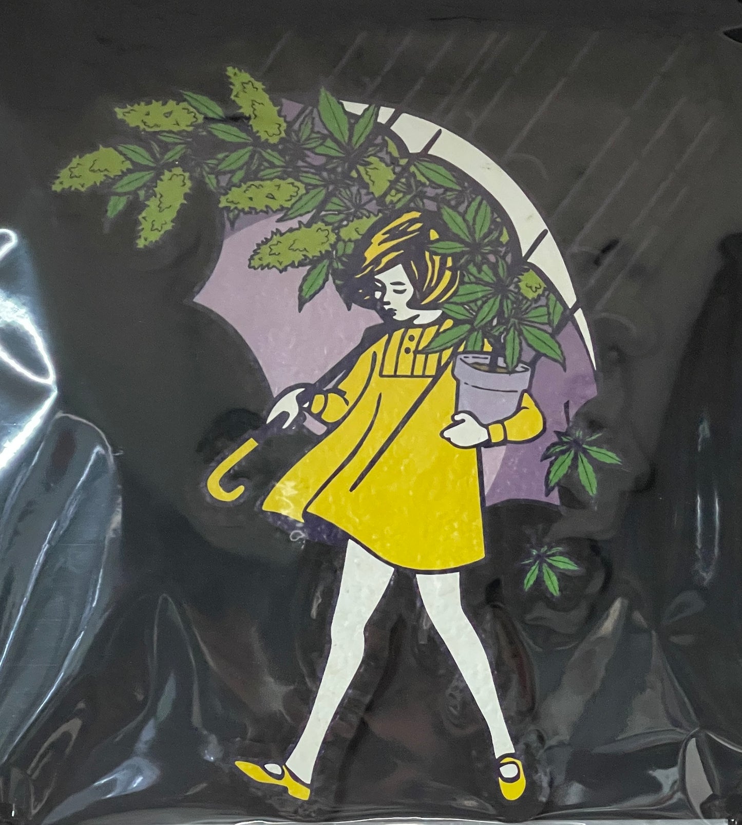 Slinger Moodmat Collection