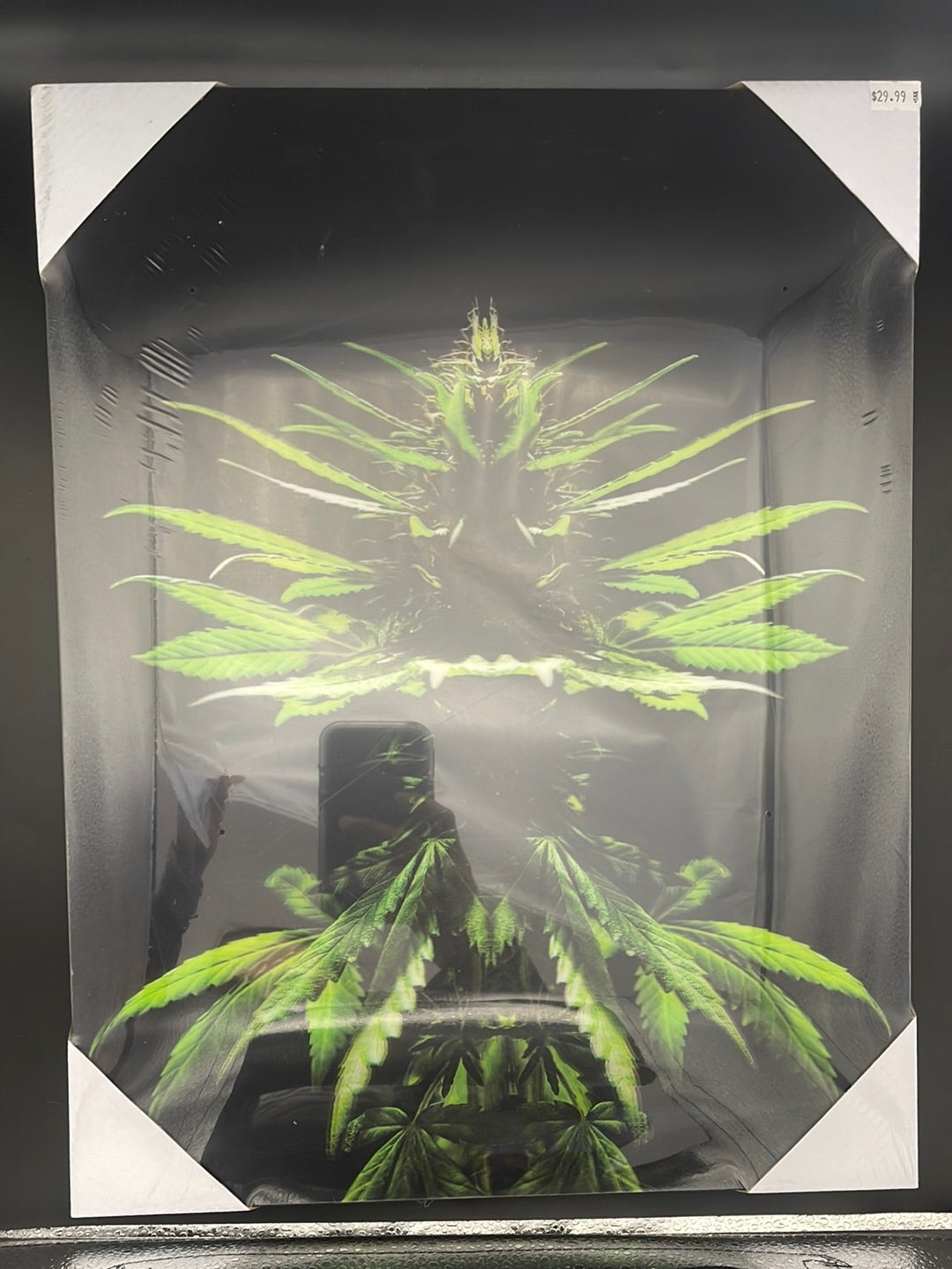 3D Lenticular Pot Plant Picture w/Frame