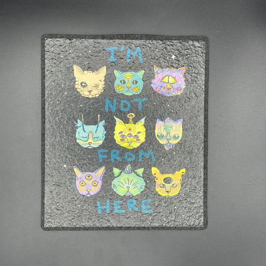 Lyn Sweet I’m Not From Here Cat Moodmat